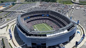 NFL players might negotiate for grass fields in future talks, but it would involve a price.
