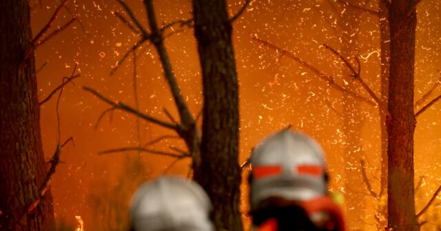 Nine out of ten wildfires were caused by people, admits the French government.
