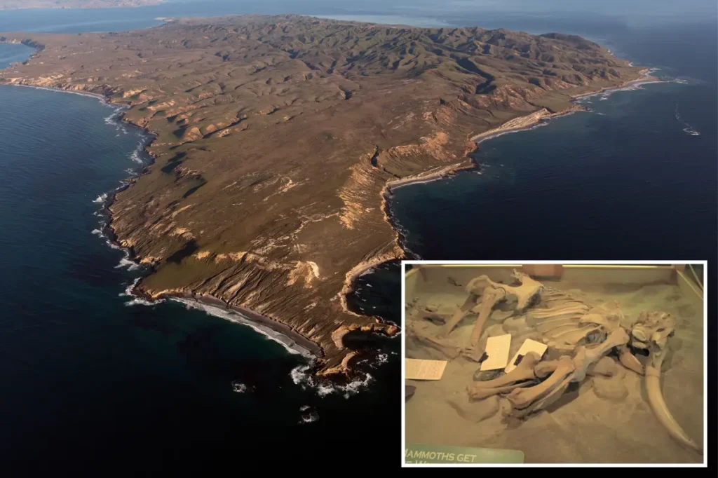 Old bones discovered near the California coast may change our understanding of human history.