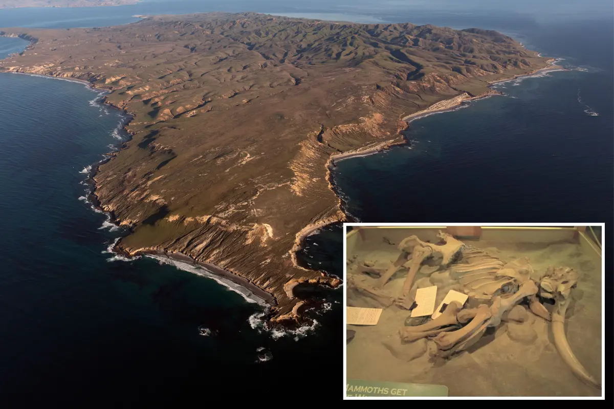 Old bones discovered near the California coast may change our understanding of human history.