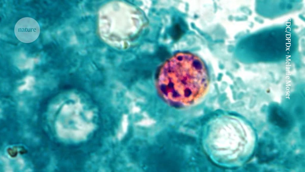Outbreak of severe diarrhea affects the US: researchers are searching for its cause