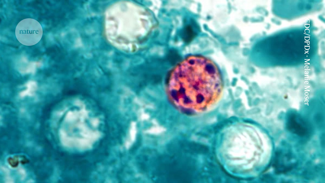Outbreak of severe diarrhea affects the US: researchers are searching for its cause