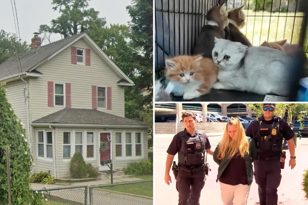 Over 155 animals rescued from a house filled with urine on Long Island: 'We will save them all'