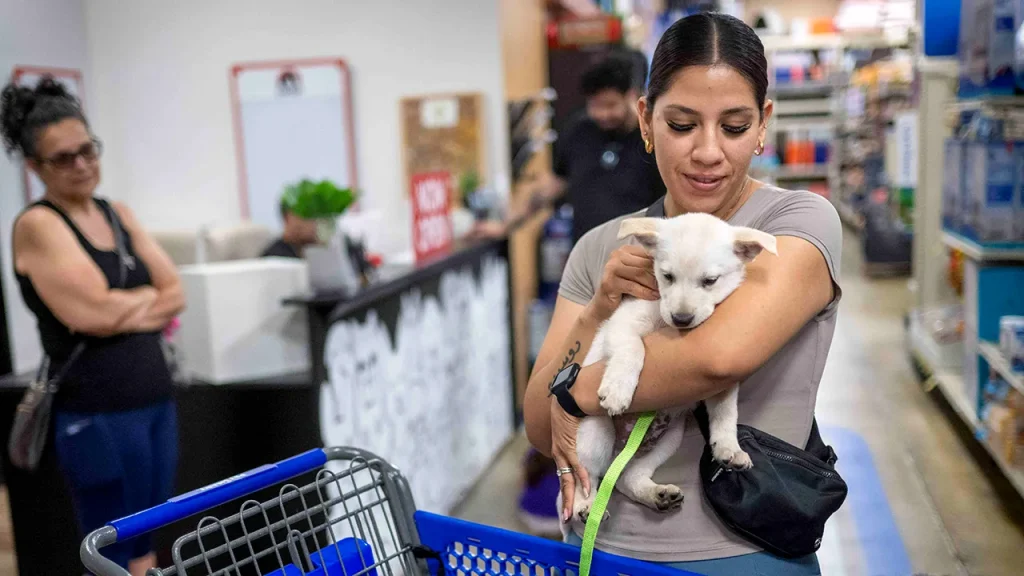 PetSmart shutting down its sole store in San Francisco due to online shopping trends.