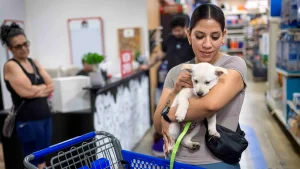 PetSmart shutting down its sole store in San Francisco due to online shopping trends.