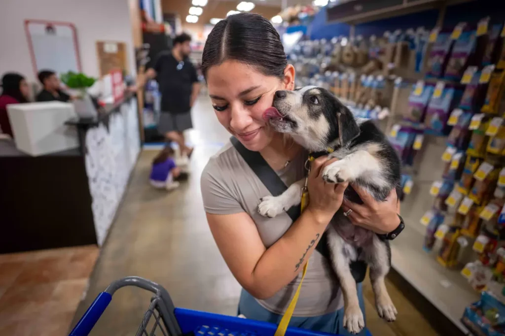 PetSmart to shut down its sole store in San Francisco