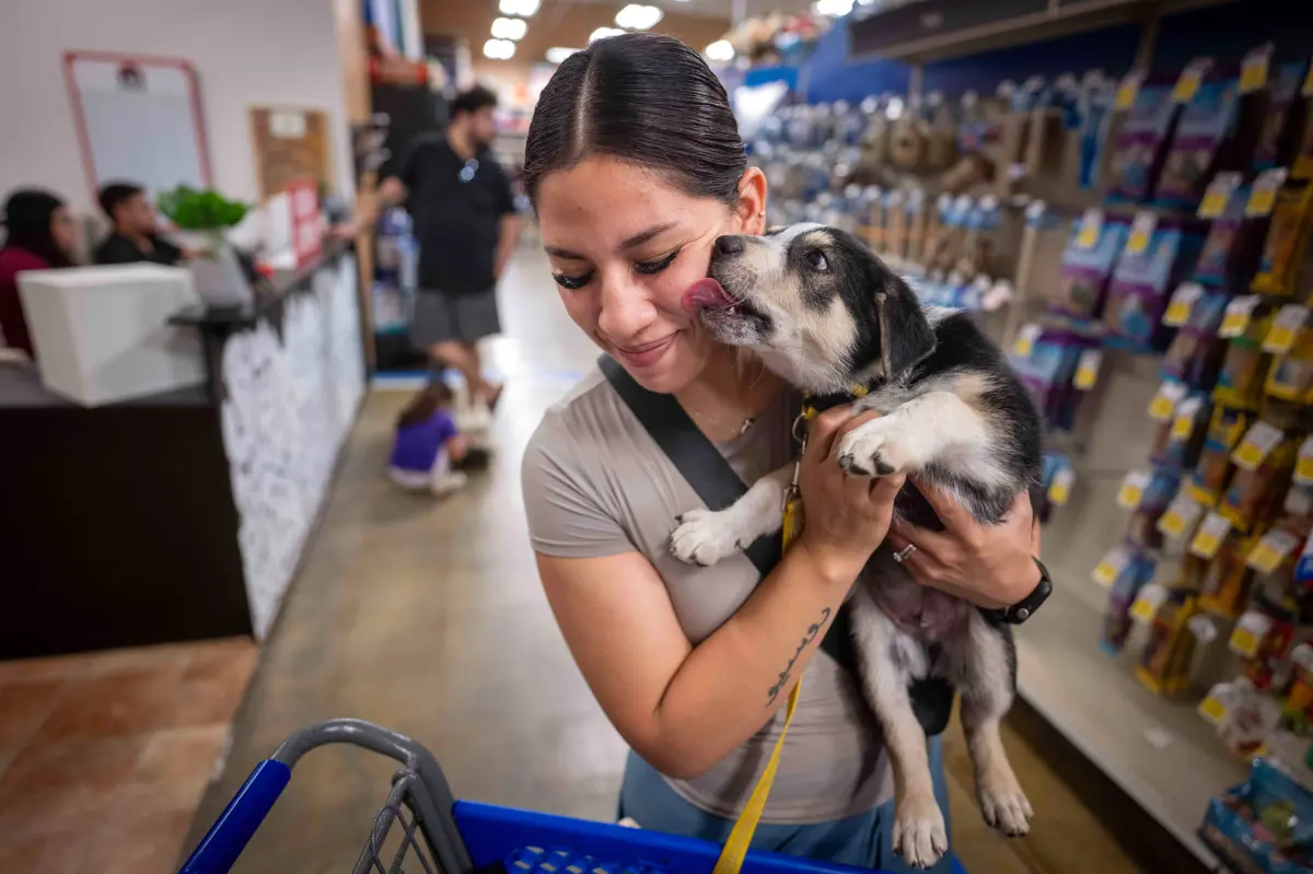 PetSmart to shut down its sole store in San Francisco