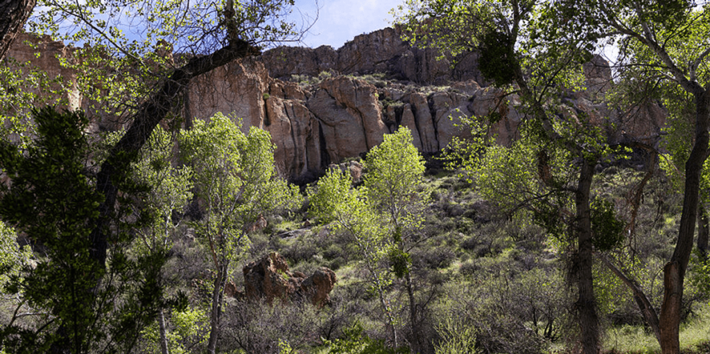 Police stunned to learn about a man's activities in an Arizona forest for eight years