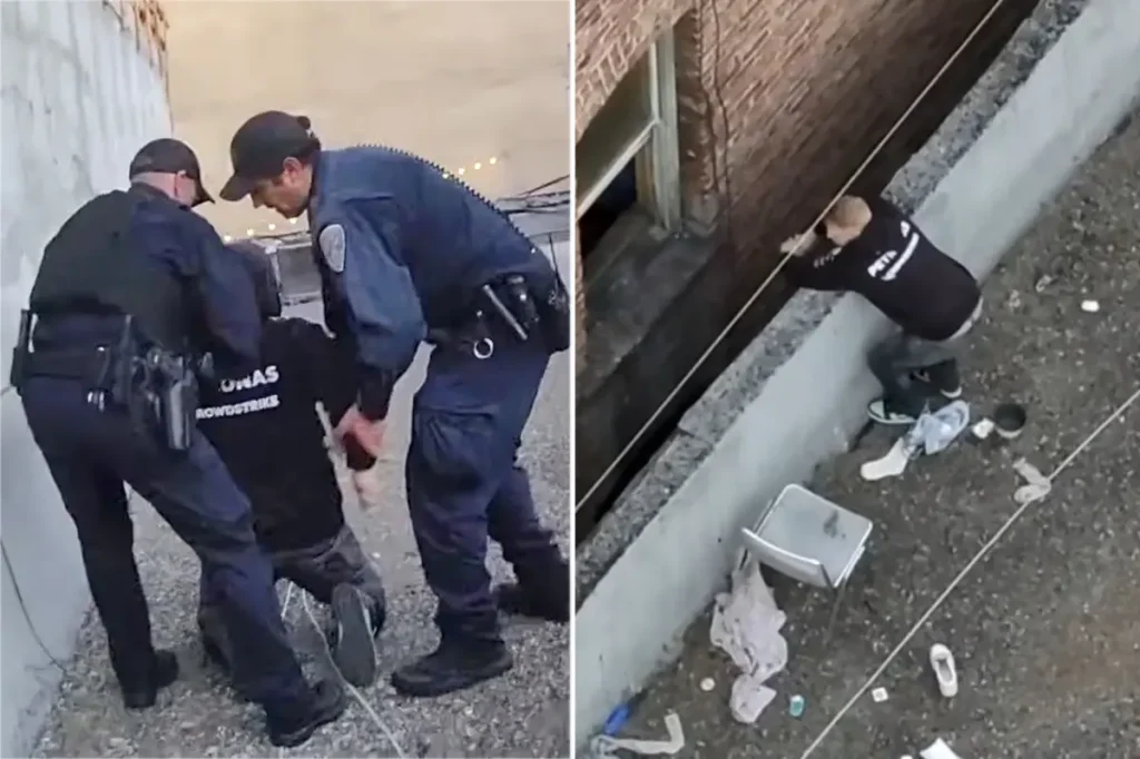 Reno man accused of horrific kitten murder following arrest on San Francisco rooftop