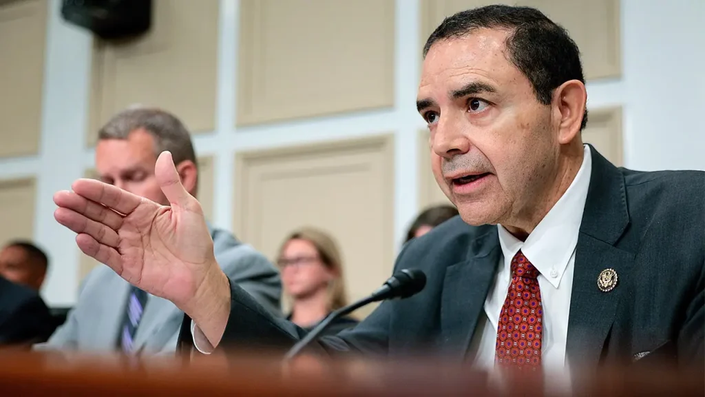 Rep. Henry Cuellar says DSA is 'utilizing' the Democratic Party as a 'means'