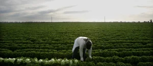 Republicans Made Commitments to Prioritize America, But They’ve Let Everyone Down for Financial Gain from Large Agriculture Contributors.