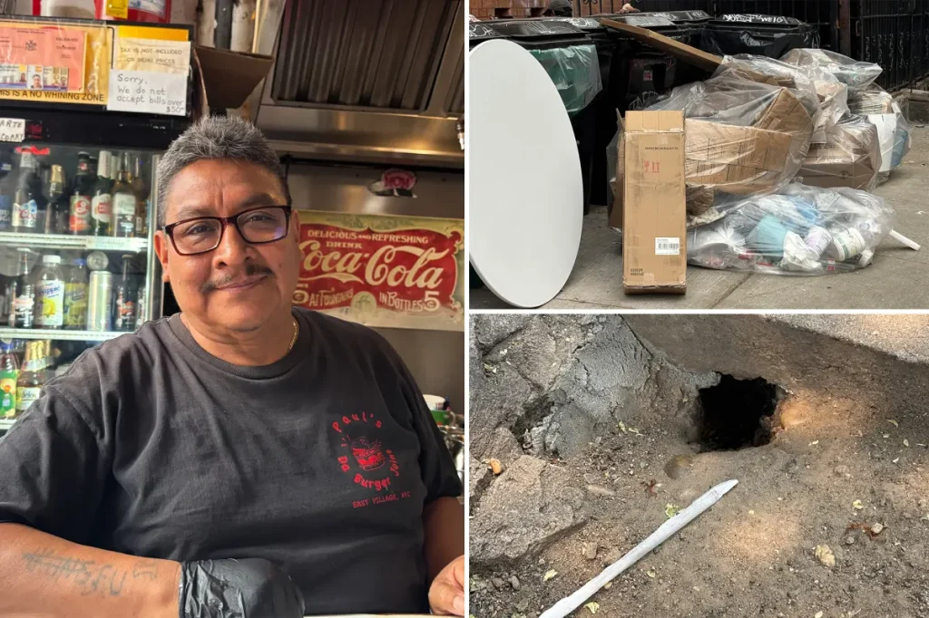Residents on NYC's rat-infested streets left to deal with rodents emerging from trash cans