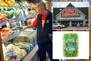 Sales of Stew Leonard's lettuce fall 11% amid cyclospora outbreak, leading to promotion of 'safer' greenhouse greens