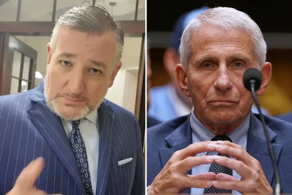 Sen. Ted Cruz calls Dr. Anthony Fauci 'the most harmful bureaucrat in America' and says he should be imprisoned.