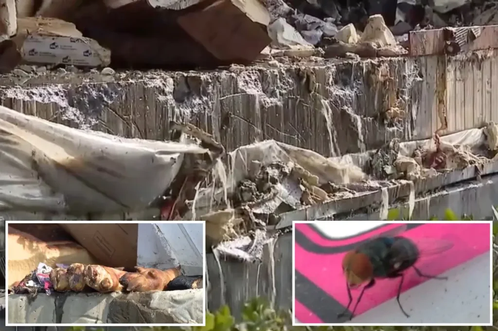 Shocking news as 85 million pounds of food spoil following LA warehouse fire