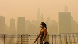 Smoke from wildfires increases the risks of asthma, COPD, and heart conditions.