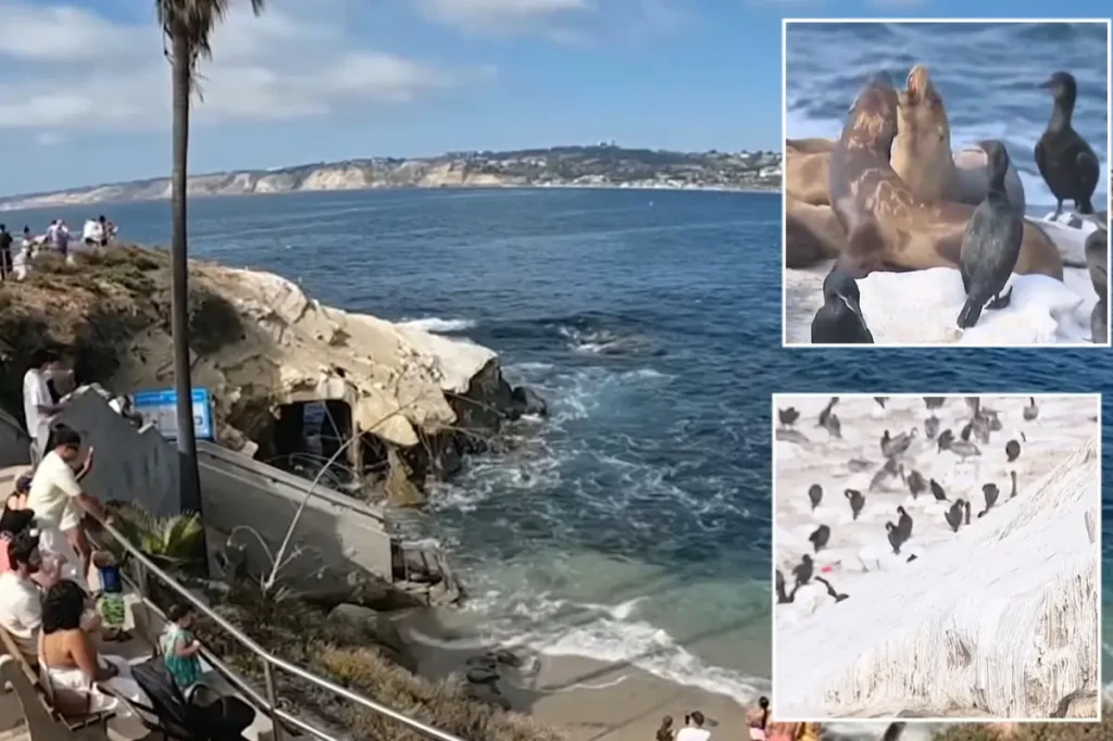 Southern California coastal site stirs debate over plans to address overwhelming odor