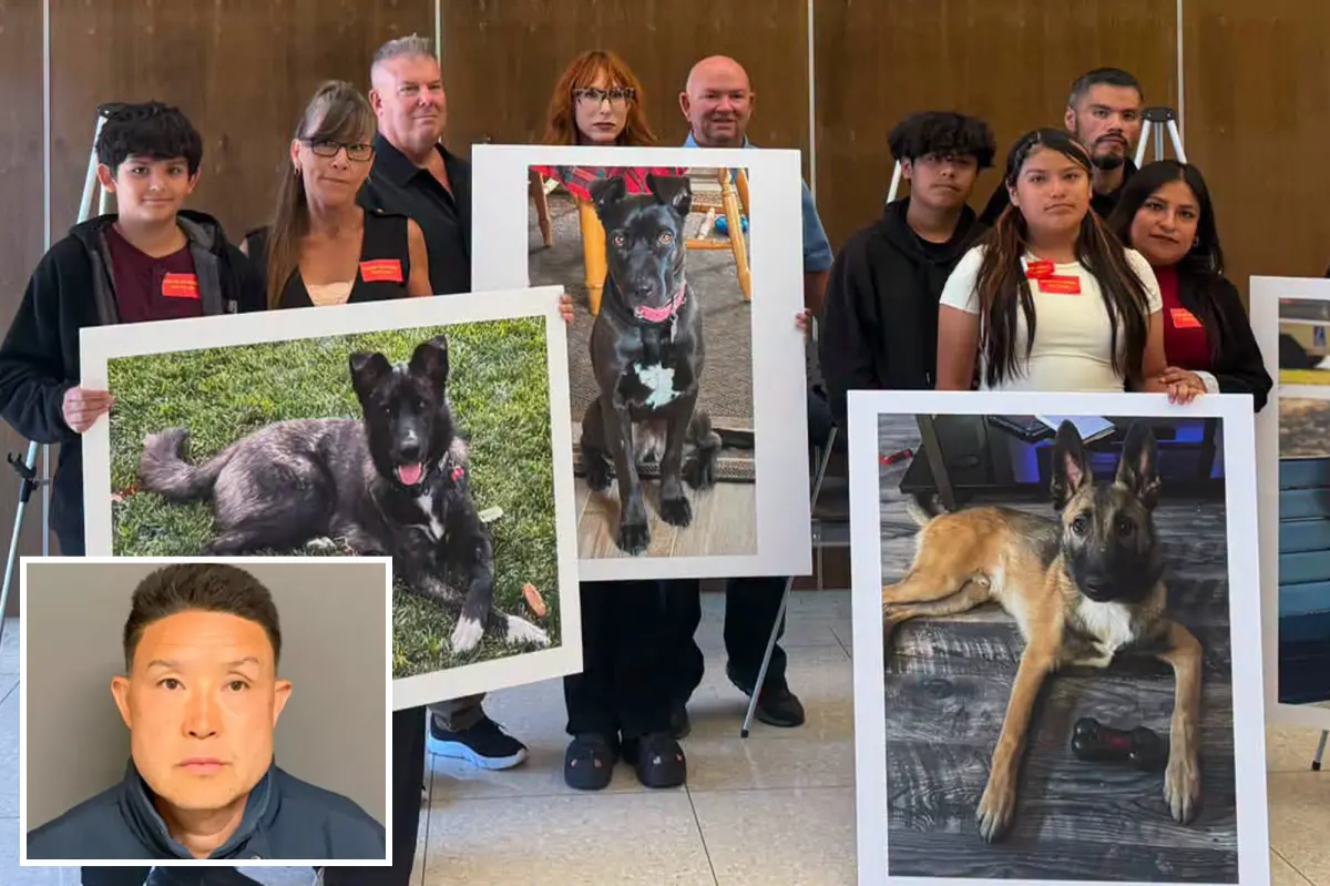 Southern California dog trainer faces consequences for confining animals in small cages and causing their deaths.