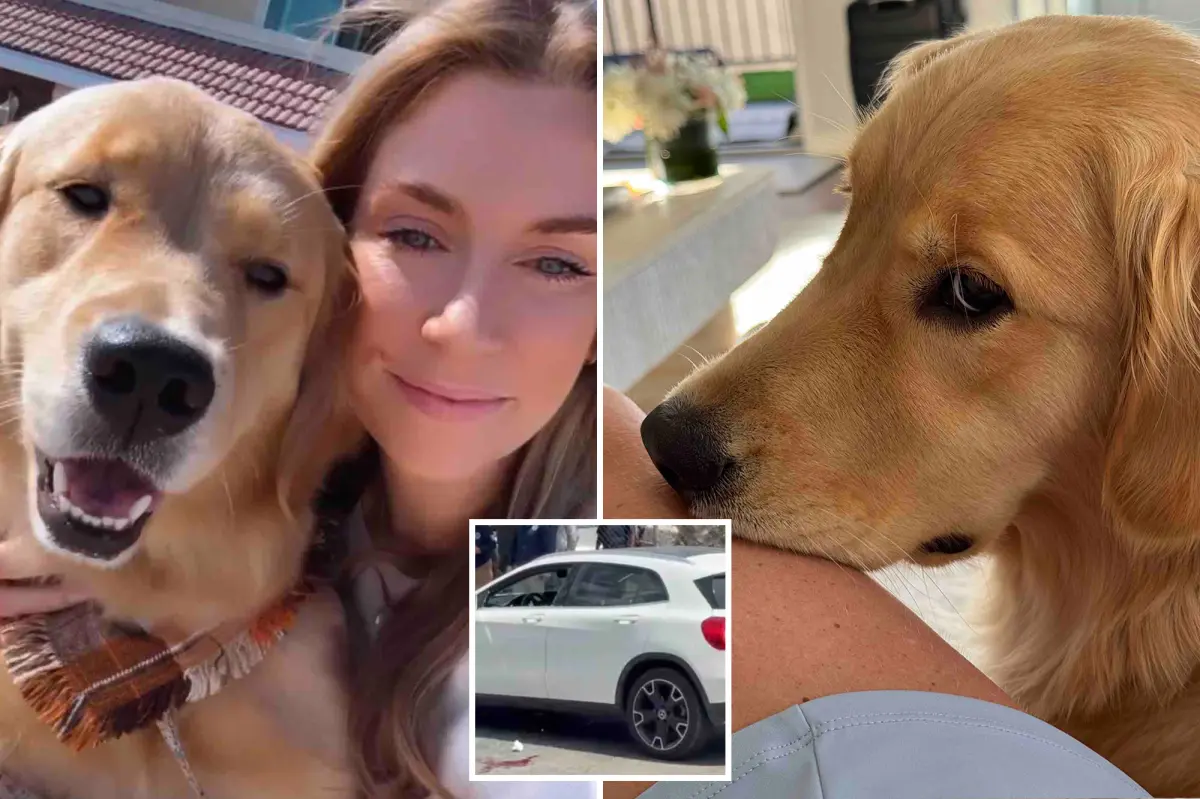 Southern California woman on vacation in Mexico with her cherished dog shot during a carjacking attempt