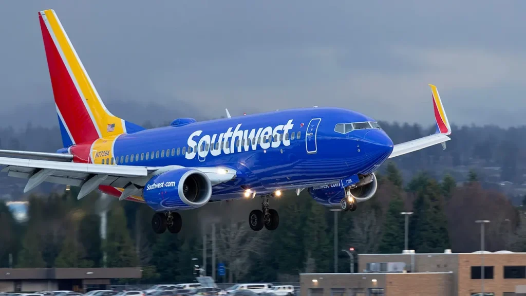 Southwest Airlines flight attendant taken into custody by ICE for suspected visa violation