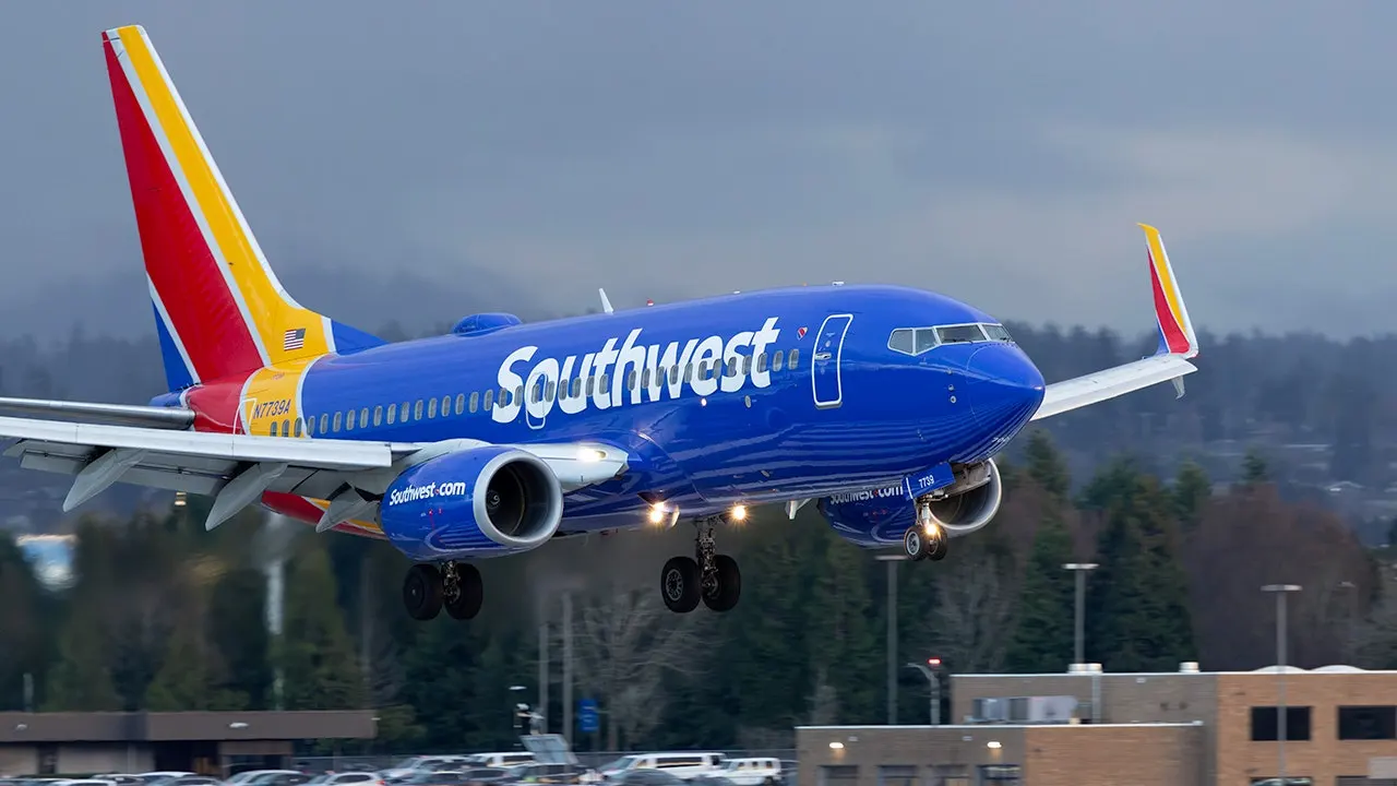 Southwest Airlines flight attendant taken into custody by ICE for suspected visa violation