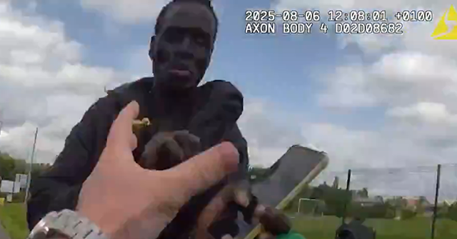 Sudanese Asylum Seeker Sentenced After Bringing Axe and Petrol to UK School