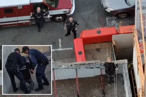 Suspect in kitten torture case apprehended following chase on rooftop