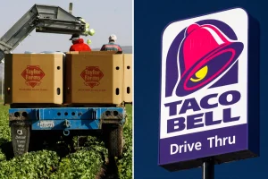 Taco Bell is being sued for contaminated lettuce that causes diarrhea.