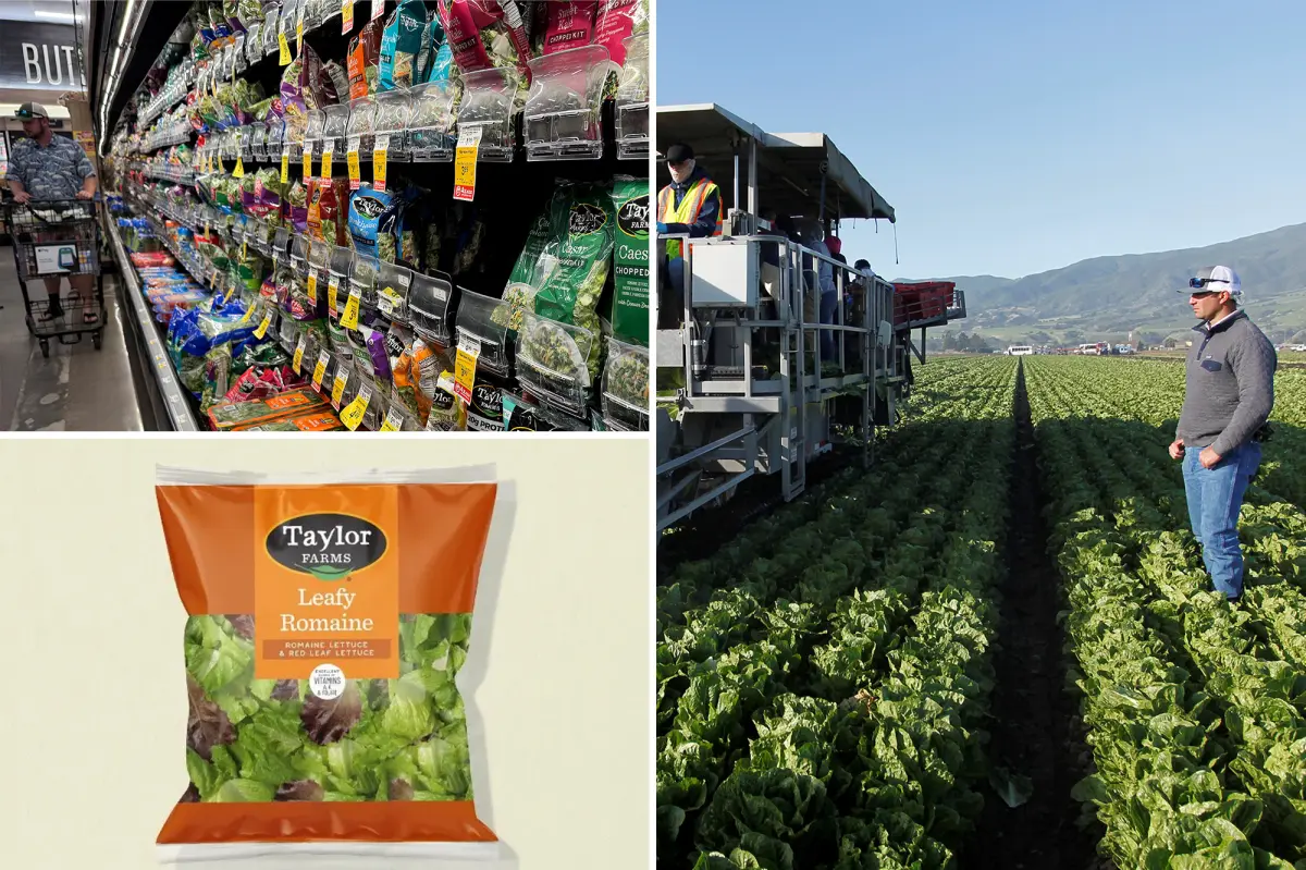 Taylor Farms' complete recall list following a cyclosporiasis outbreak causing severe diarrhea