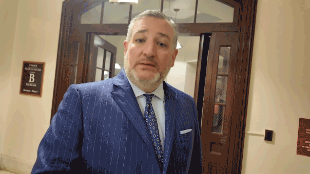 Ted Cruz calls for Fauci to be charged with contempt and perjury after the hearing