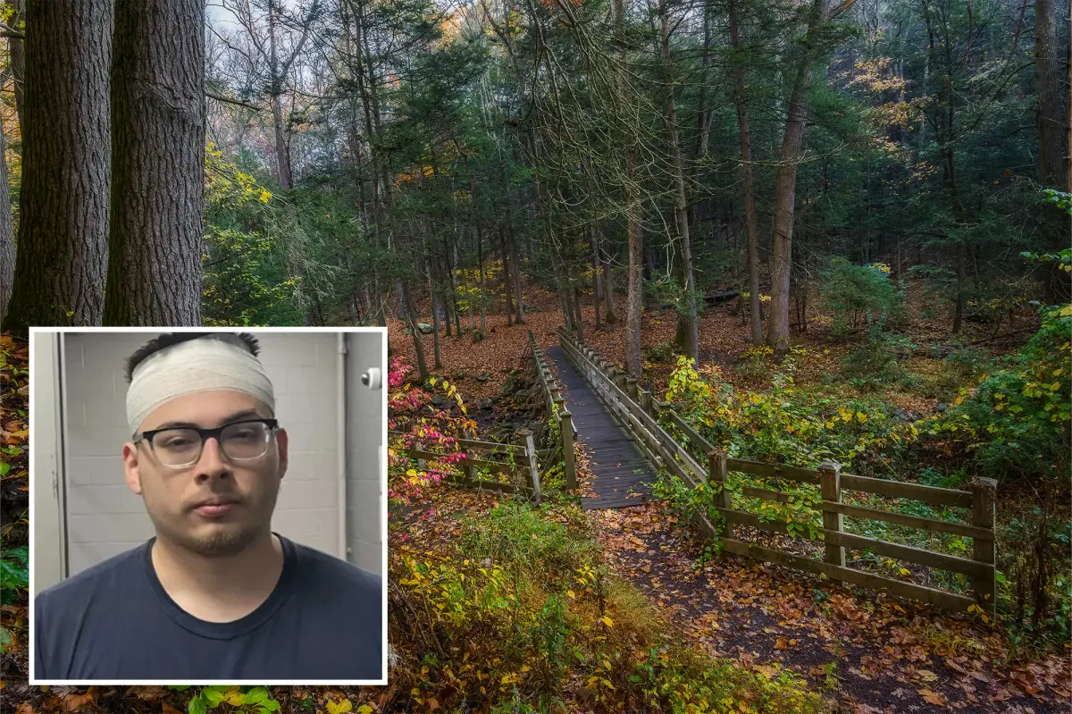 Teen girls fight off a knife-carrying man fixated on pornography who attempted to pull them into the woods in Connecticut to assault them.