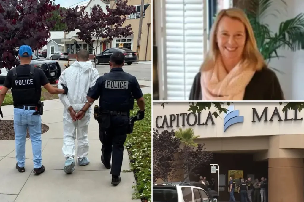 Teen in California released on bail reportedly killed artist in a disturbing fantasy.