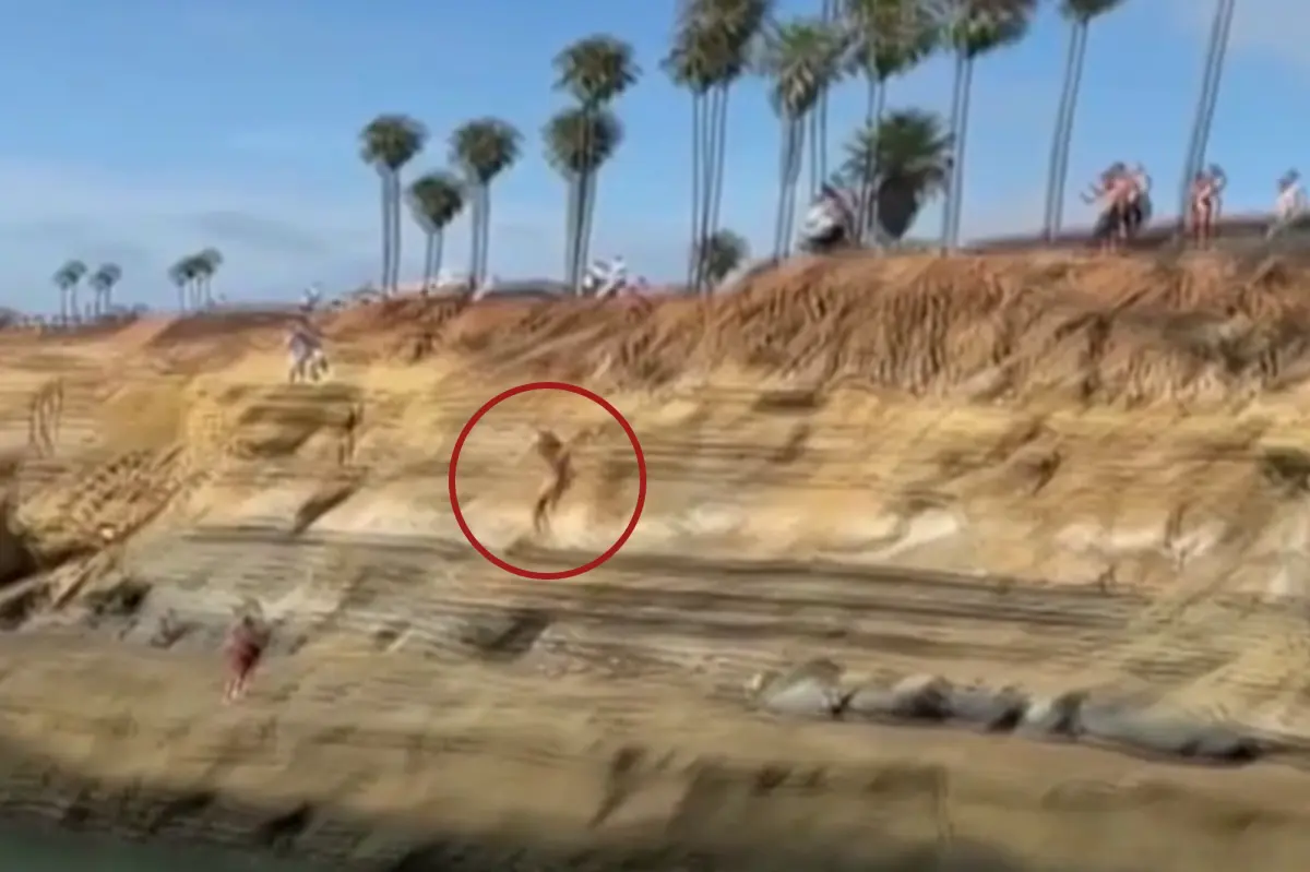 Teen makes an unlawful leap from San Diego cliffs, and it all takes a turn for the worse