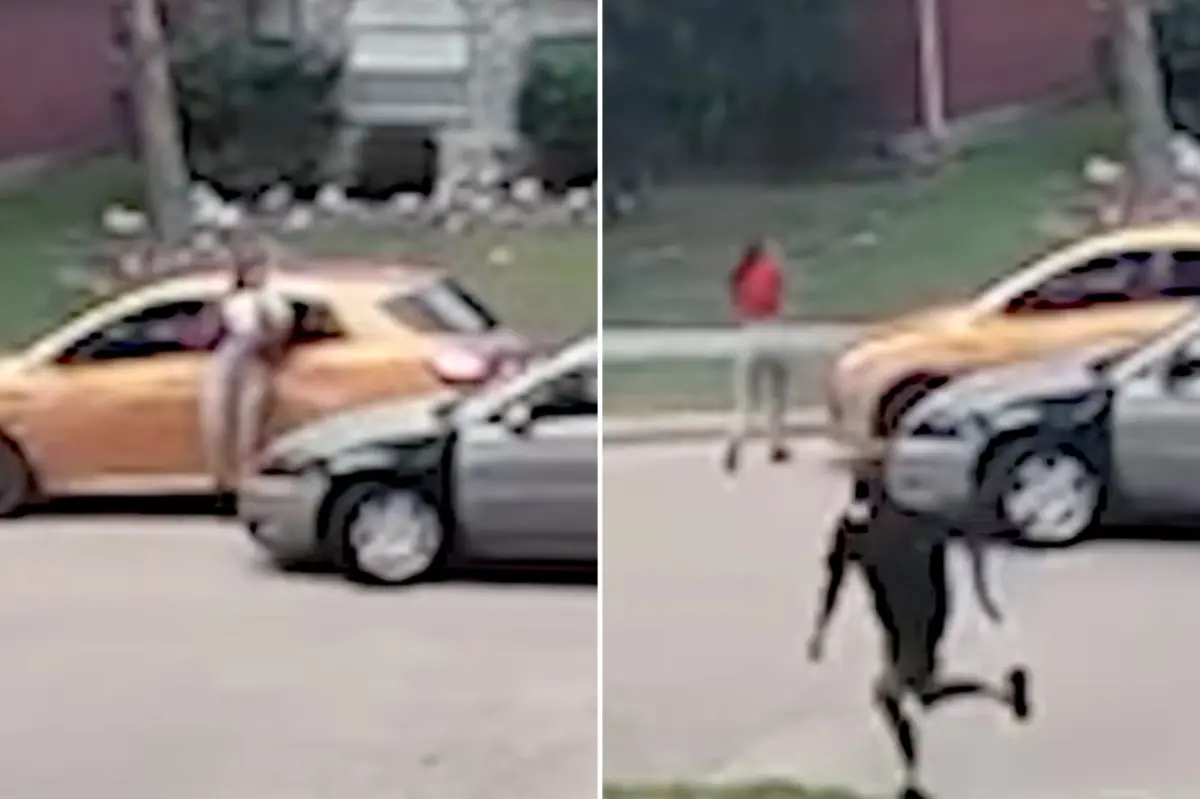 Texas DoorDash driver continues delivery even after being hit by a car from a fleeing suspect