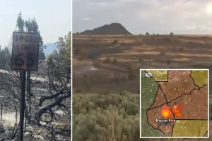 The Biscar Fire becomes the largest in California this year