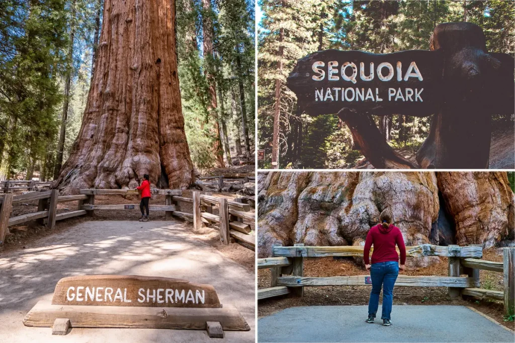 Tourist from Nevada passes away on a well-known trail in Sequoia National Park