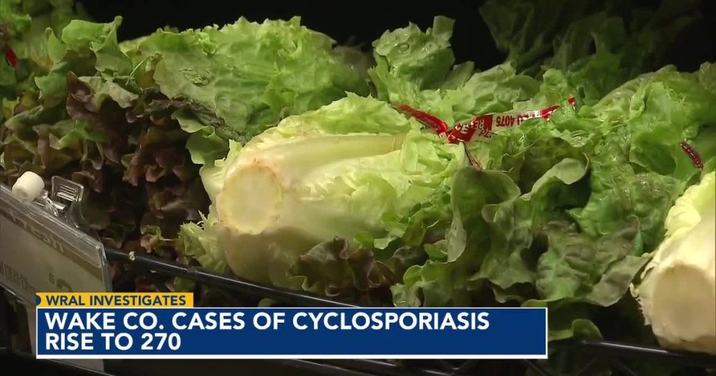 Tracking Cyclospora: North Carolina cases linked to lettuce not from Taco Bell, source of the contamination still to be determined