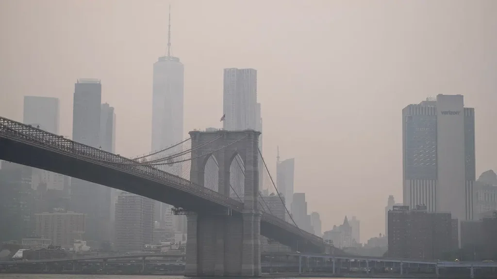 Trump claims Canada is mishandling forest management in relation to wildfires.