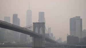 Trump claims Canada is mishandling forest management in relation to wildfires.