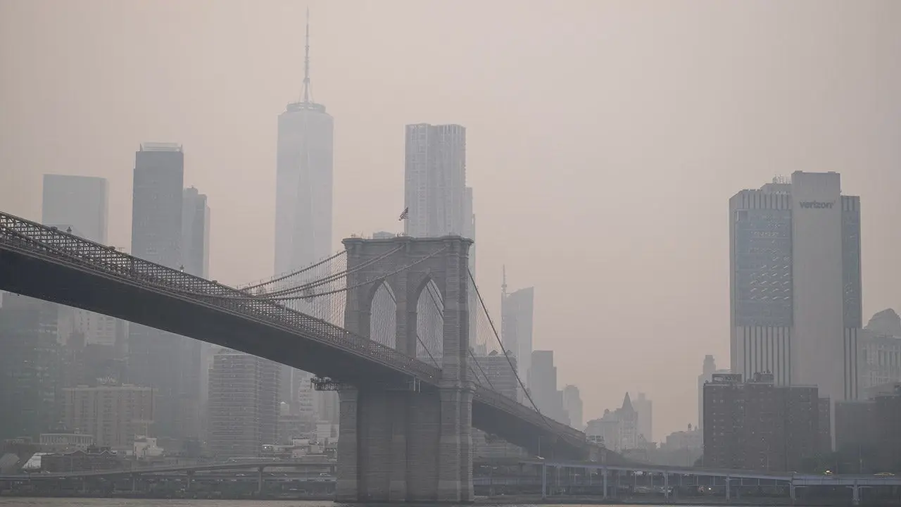 Trump claims Canada is mishandling forest management in relation to wildfires.