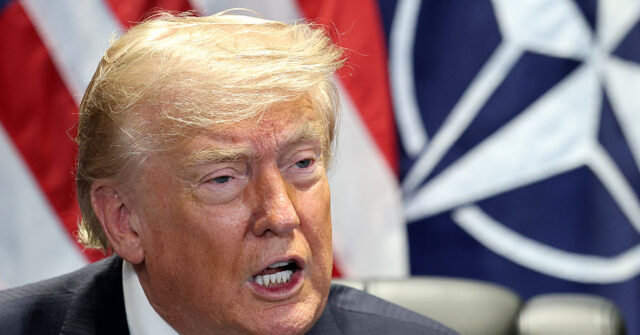 Trump Halts All Trade with 'Bad NATO Ally' Spain