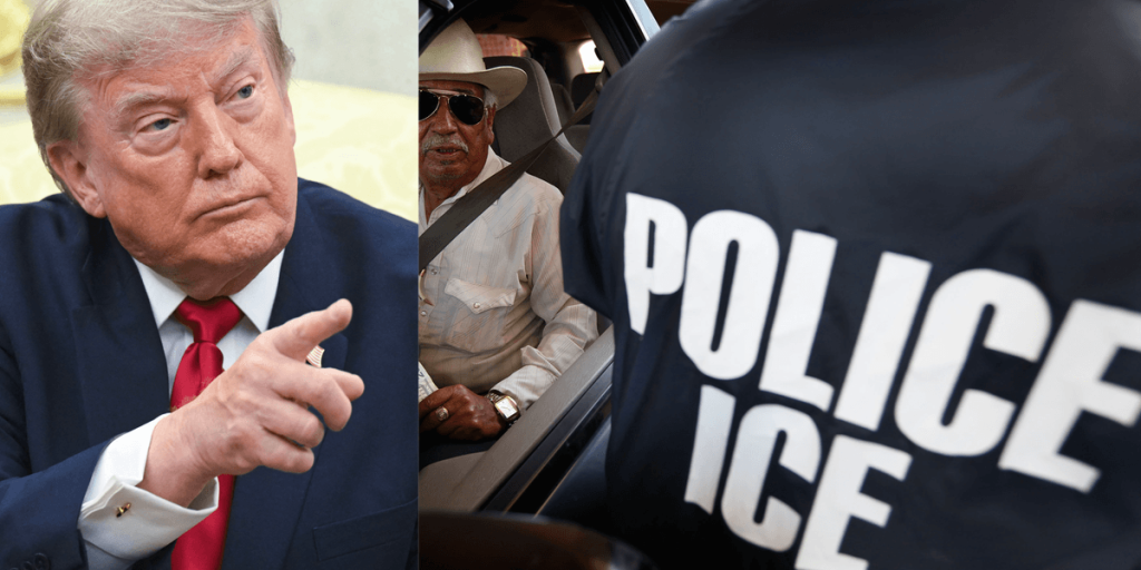Trump reverses his decision on DHS and directs ICE to resume traffic stops
