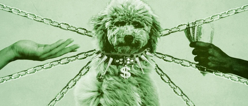 Trump’s FTC Looks into Veterinary Mergers as Pet Care Prices Rise
