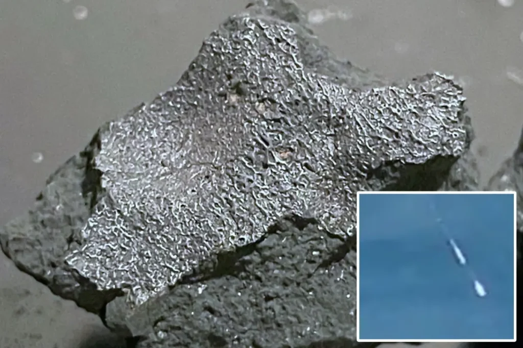Uncommon meteorite that struck NJ house contains building blocks of life