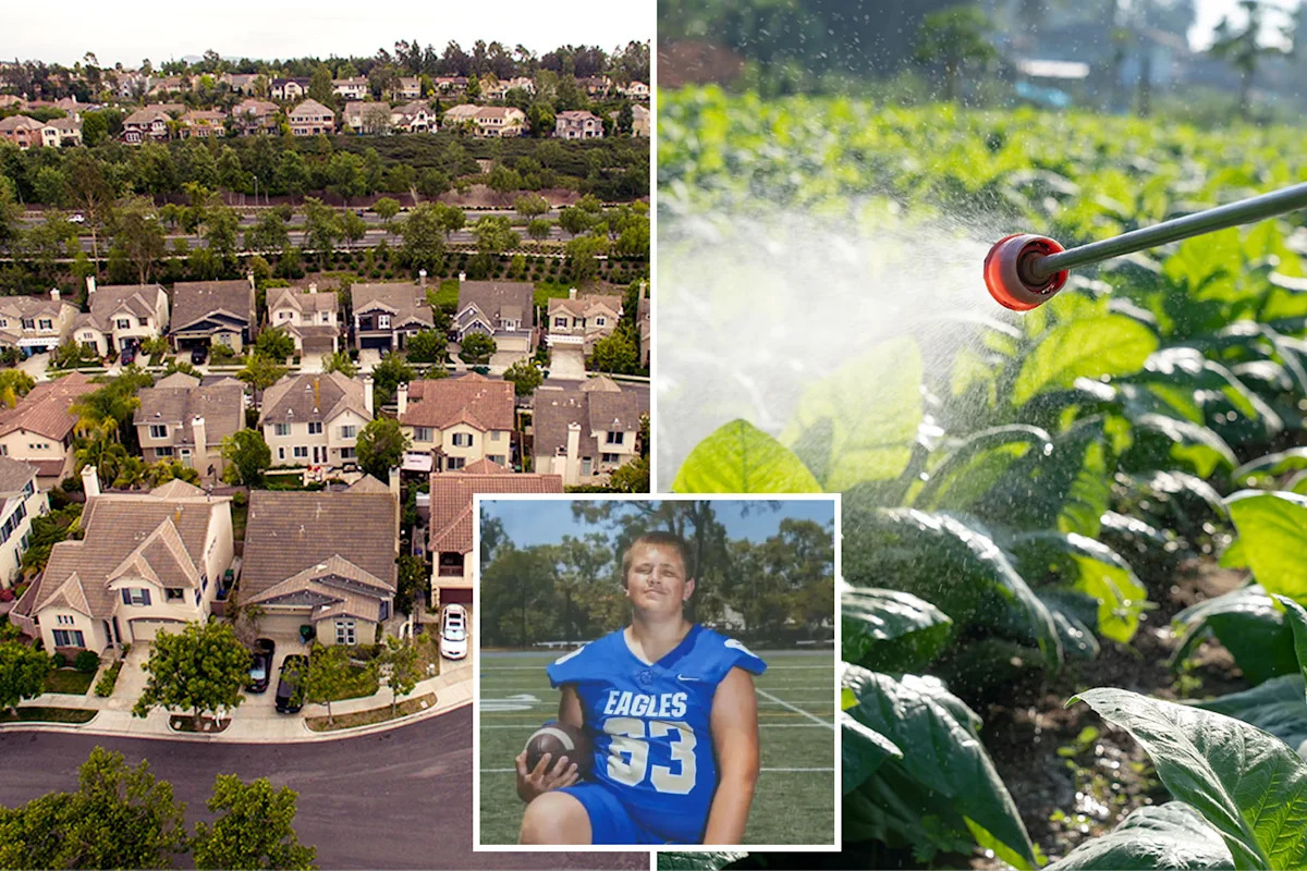 Upscale Southern California city shaken by unusual cancer cases halts use of chemical landscaping products