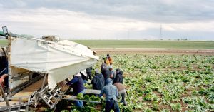 U.S. Cyclospora Cases Reach All-Time High