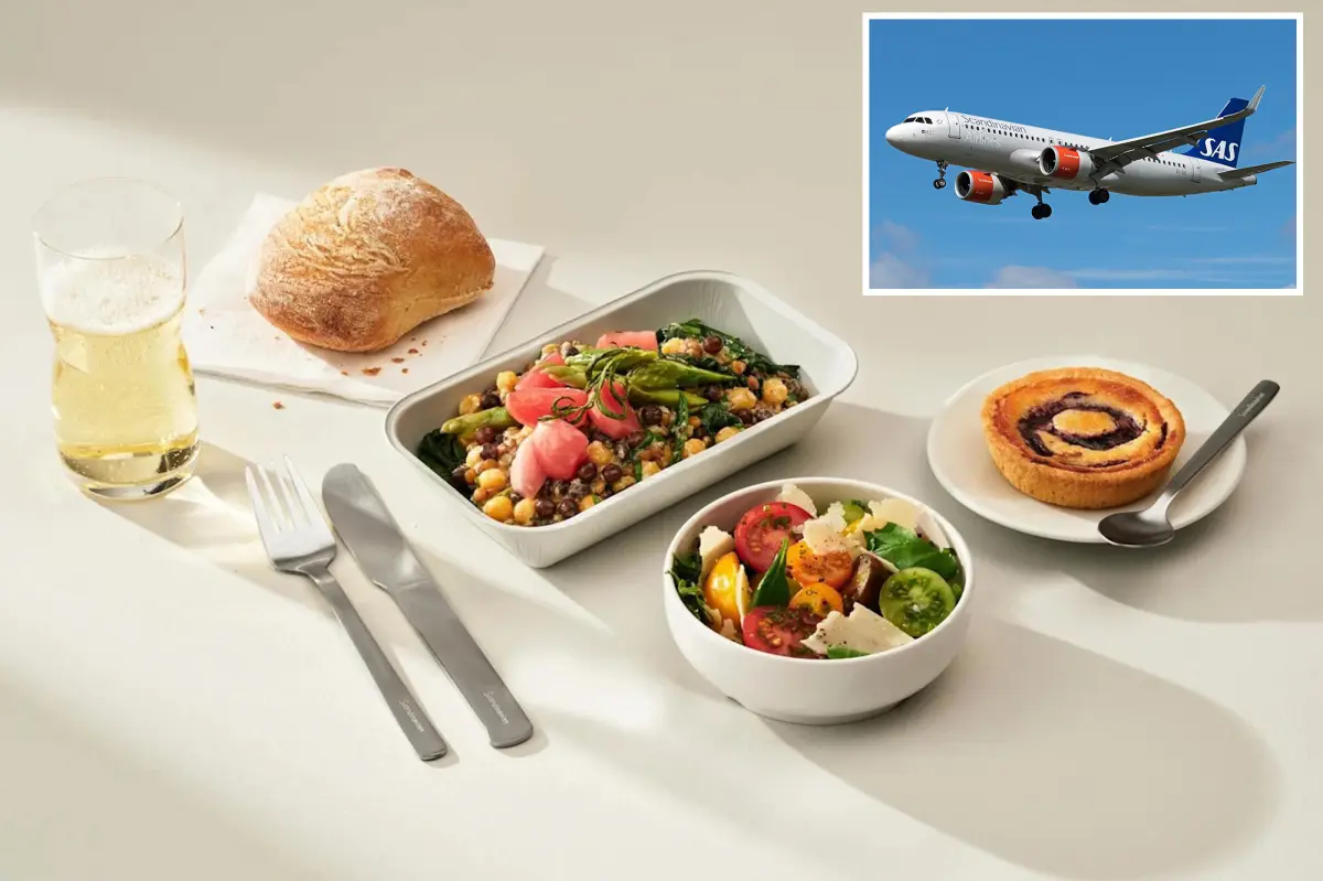 US judge dismisses lawsuit from California man who blamed airline for lack of chicken dishes