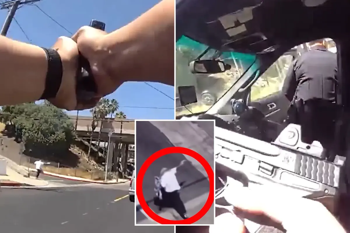Video of LAPD shootout shows moment suspect aimed at officer