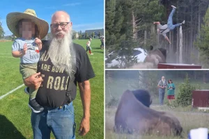 Visitor thrown into the air by bison identified as grandfather
