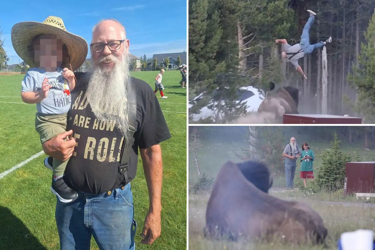 Visitor thrown into the air by bison identified as grandfather